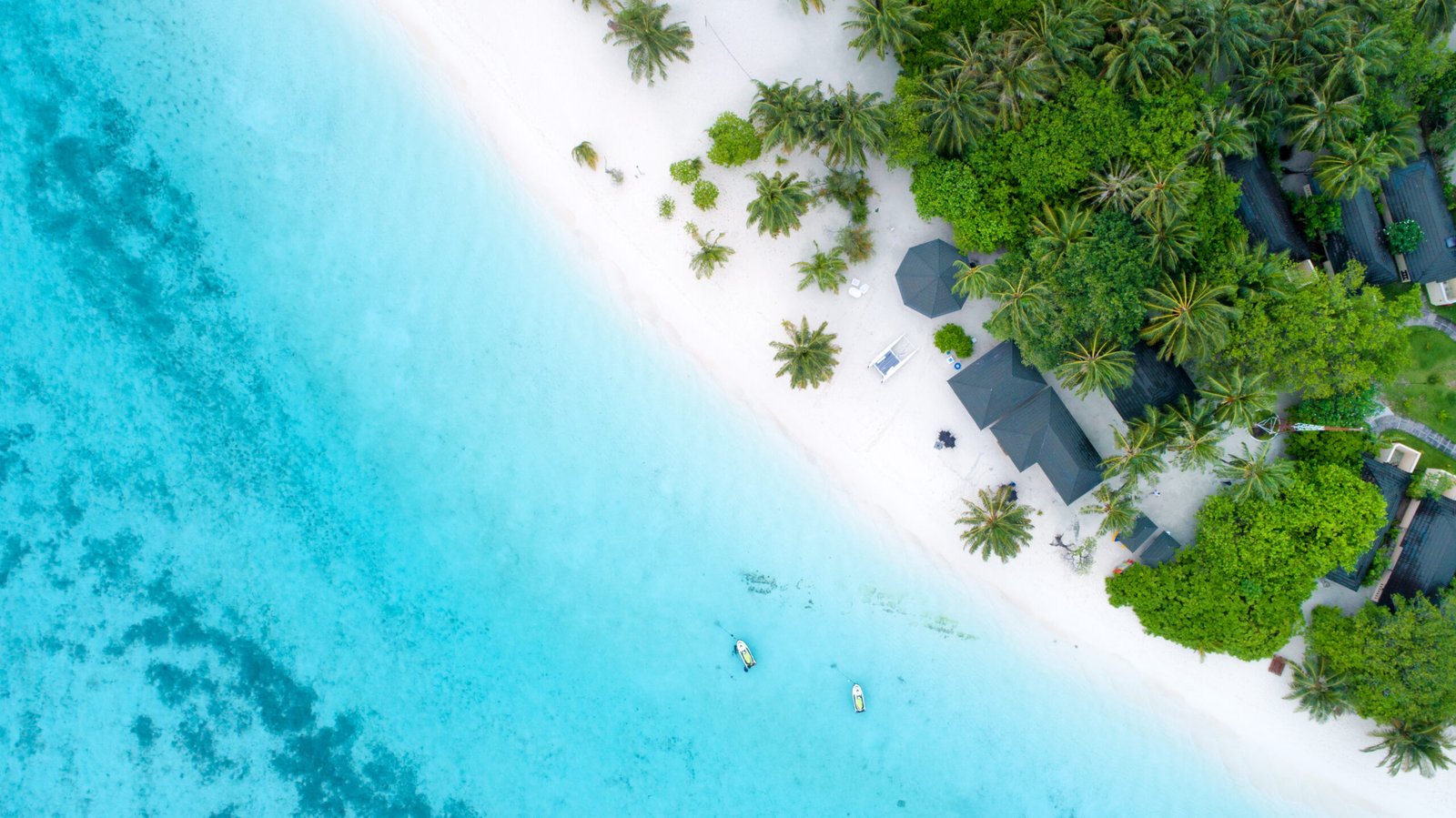 Aerial view of tropical beach travel destination