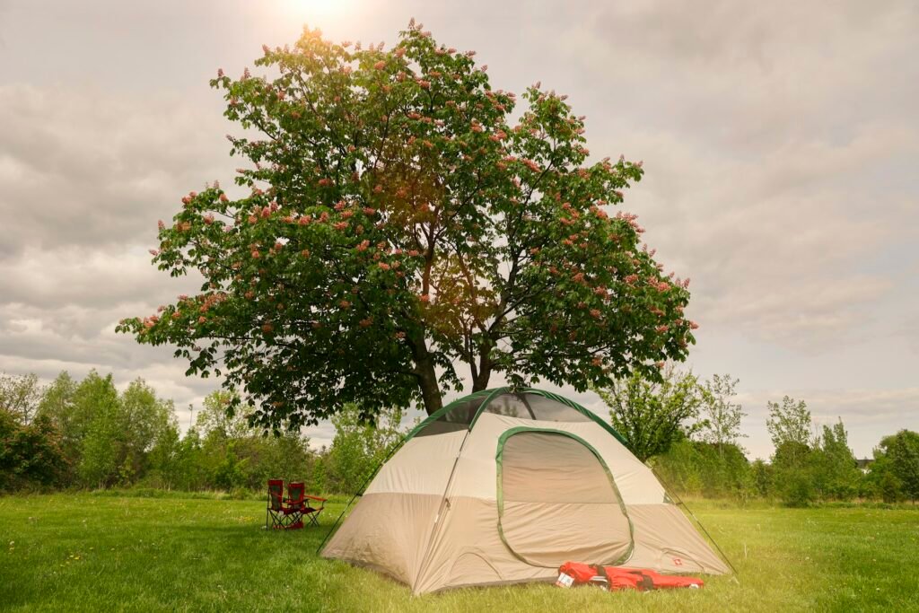 Camping tent pitched on grass under a tree.