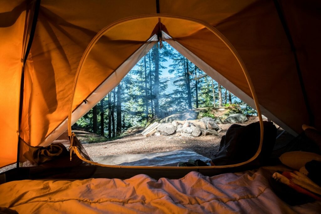 View from inside a tent looking out to the forest.