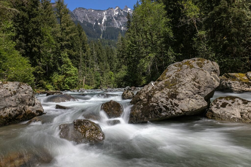 Mountain stream flowing over rocks through a green forest.