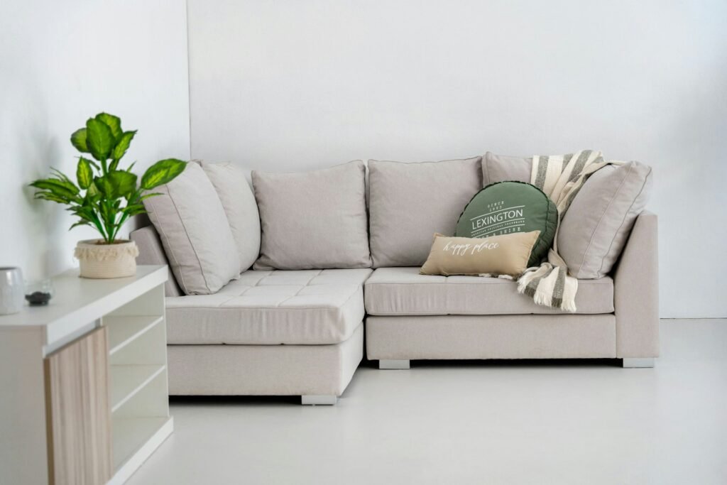 Light grey sectional sofa with a throw blanket and a green plant.
