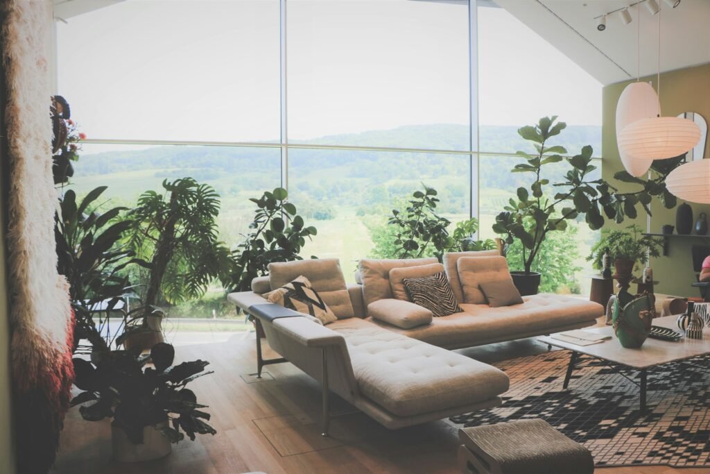 Bright living room with a sofa, plants and large windows.