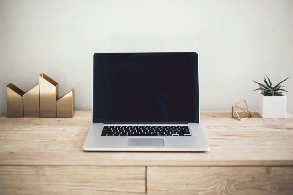 Laptop on a light wood desk with a small plant.