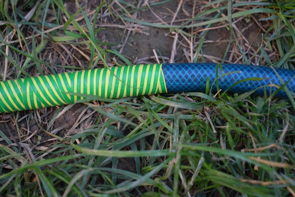 Green garden hose coiled in grass.