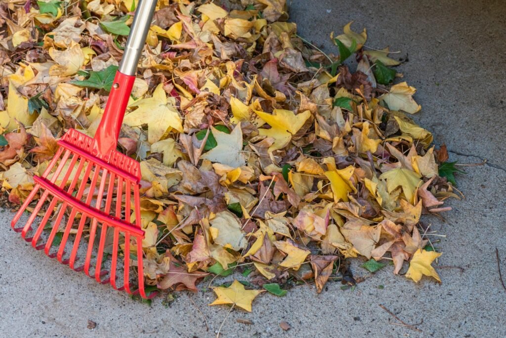 Red rake on a pile of fallen autumn leaves.