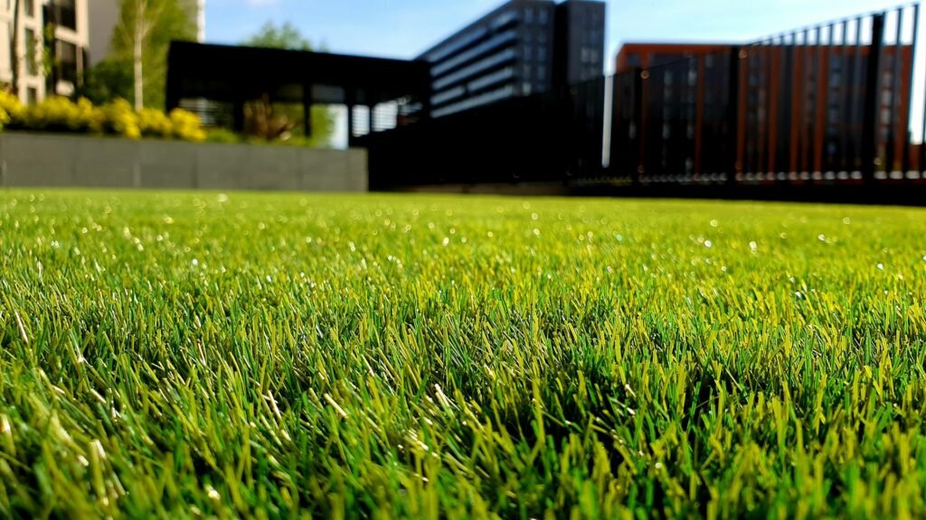 Freshly cut green lawn beside a modern house.